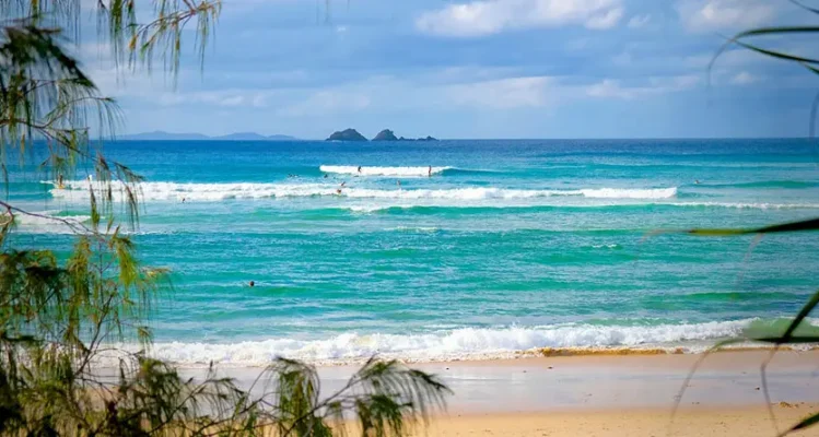 NSW coastline with turquoise water, surfers, and golden sand framed by coastal trees