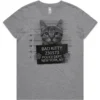 Bad Kitty design printed on a Grey Marle ladies t-shirt