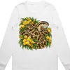 Carpet Python Among Golden Wattle printed on a white Women’s Long Sleeve T-Shirt, design by Australia Art Prints