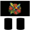 Rainbow Lorikeet with Grevillea printed on a black Stubby Holder, design by Australia Art Prints