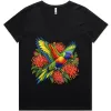 Black women’s V-neck T-shirt printed with a rainbow lorikeet among red grevillea