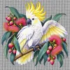 Sulphur-crested Cockatoo in Bloom printed on a white Cross Stitch Canvas, design by Australia Art Prints